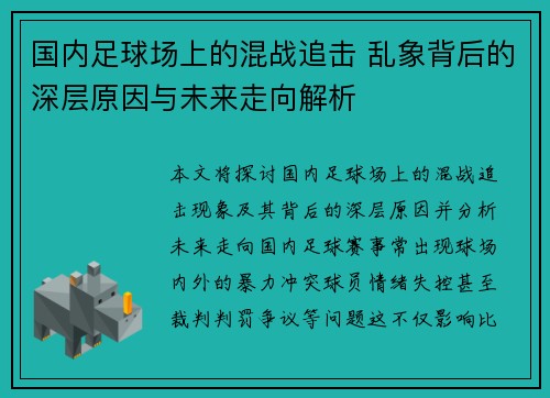 国内足球场上的混战追击 乱象背后的深层原因与未来走向解析